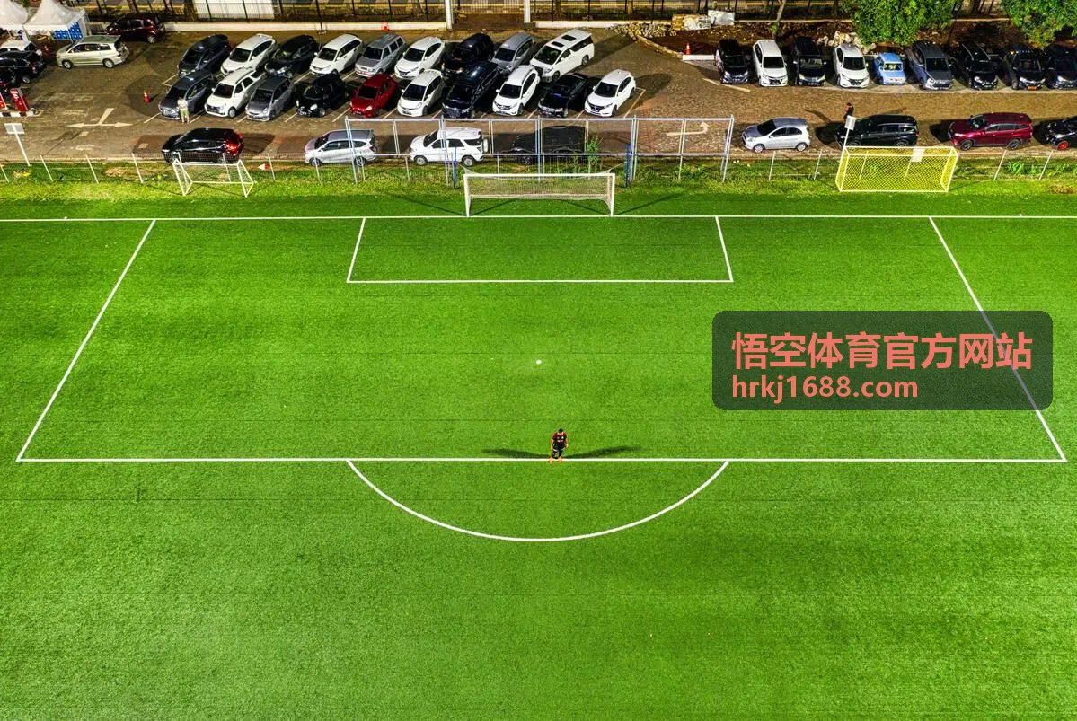 政企单位趣味运动会园区草坪比赛